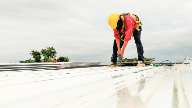 Best Sheet Metal Roofing  in St James, MN